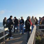 Cambria_0172 (November 05, 2011)